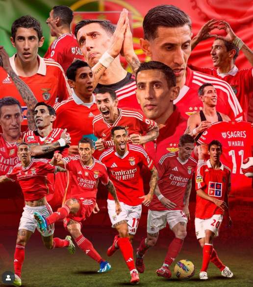 迪马利亚发文告别本菲卡:感谢你们,这家俱乐部给予我一切